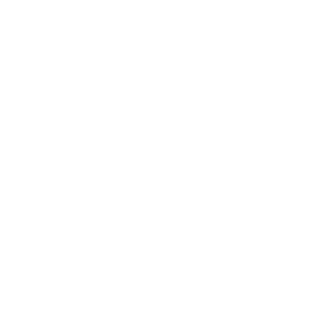 WEB_NgeeAnnPoly